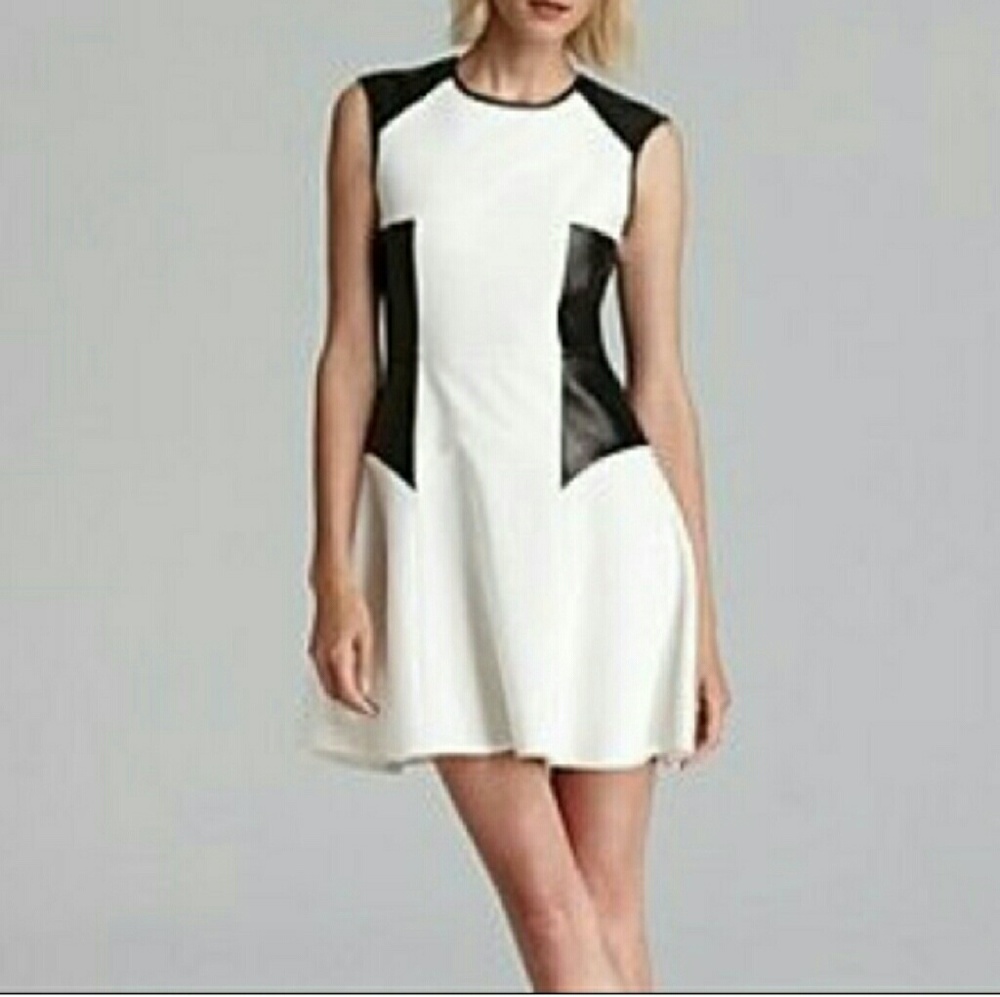 TIBI color blocked Ponte dress